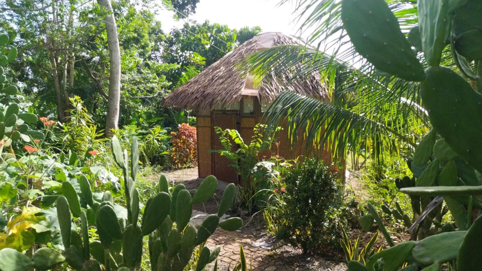 Little Nomads Eco-Guesthouse Siquijor Zimmer foto